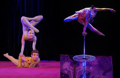 The Beijing Acrobatic Troupe   Teatro Coliseum | Danza Ballet