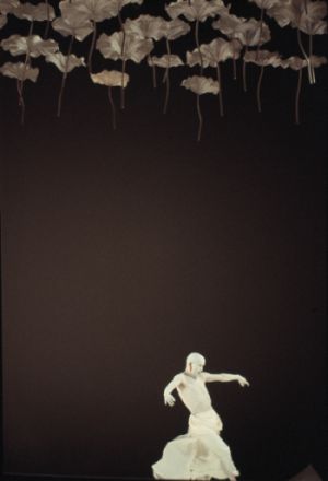 Ushio Amagatsu:  la base de mi danza es la universalidad